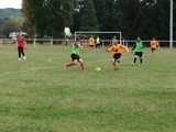 Foot