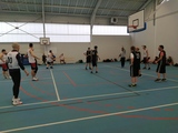 Journée Para-Basket-ball Adapté - ZNO