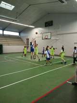 Basket