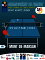 Affiche tt saj vf